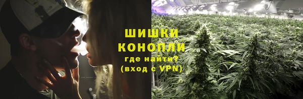 дживик Киренск