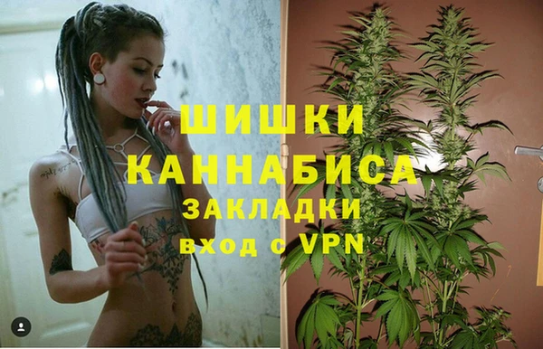 дживик Киренск