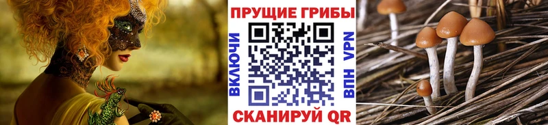 Псилоцибиновые грибы ЛСД  площадка клад  Тында 