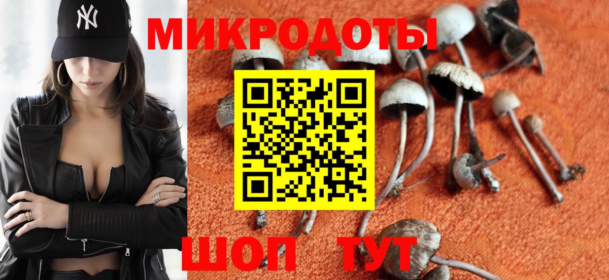 Тында  Псилоцибиновые грибы прущие грибы  Вход с VPN 
